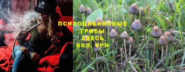 дурь Арсеньев
